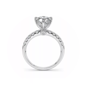 6-Prong Half-Eternity Ring